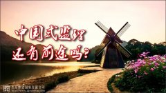 中國(guó)式監(jiān)理，還有前途嗎？
